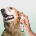 Vet's Best Advanced Dental Spray me Menta kai Aloi 14ml